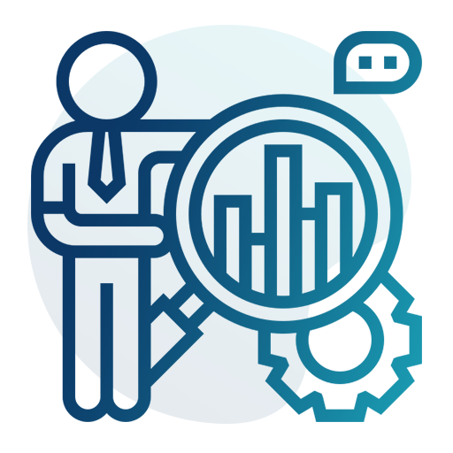 erp implementor