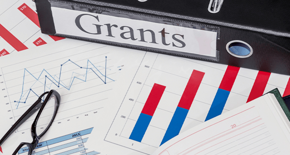 Business App Development 2:35 am NGO Grant Management System
