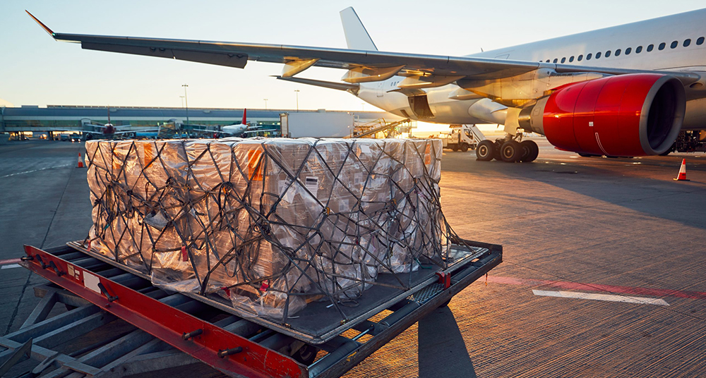 Logistics ERP Software 2:35 am Transportation ERP