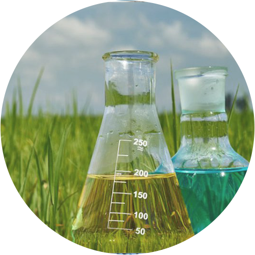 Agrochemical Chemical Industry