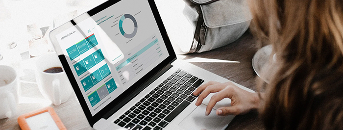ERP Microsoft Dynamics 365 Business Central BC