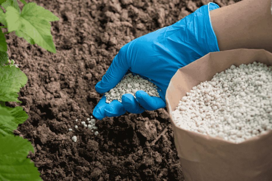 Fertilizer