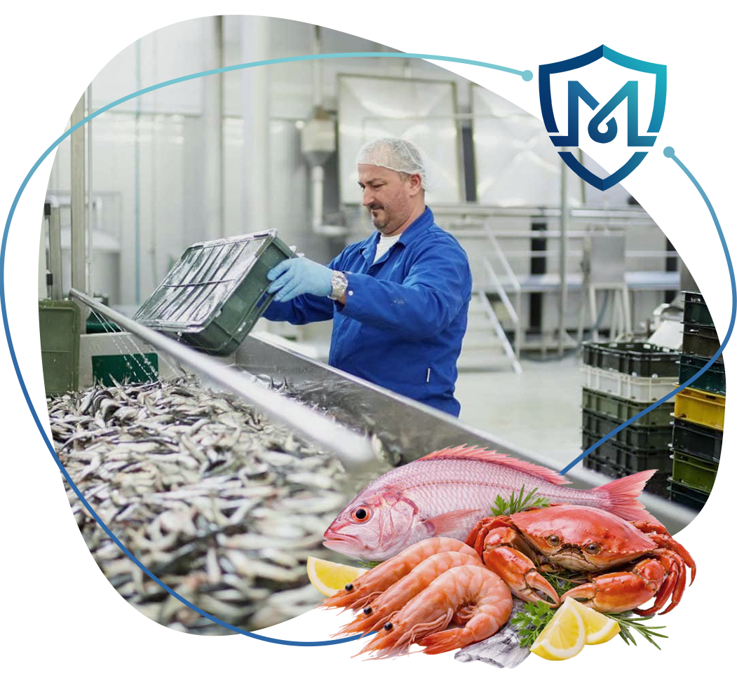 Seafood ERP Software in Indonesia 4:35 am Seafood