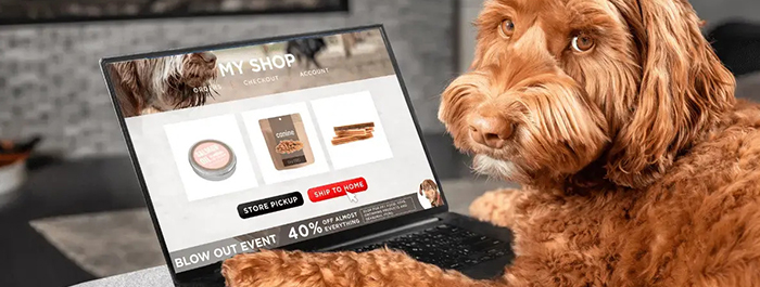 Pet Retail ERP Software for Smarter Pet Store Operations 2:35 am Omnichannel Pet Retail ERP