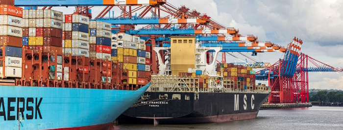 Freight Forwarding ERP 2:35 am Sea Freight ERP